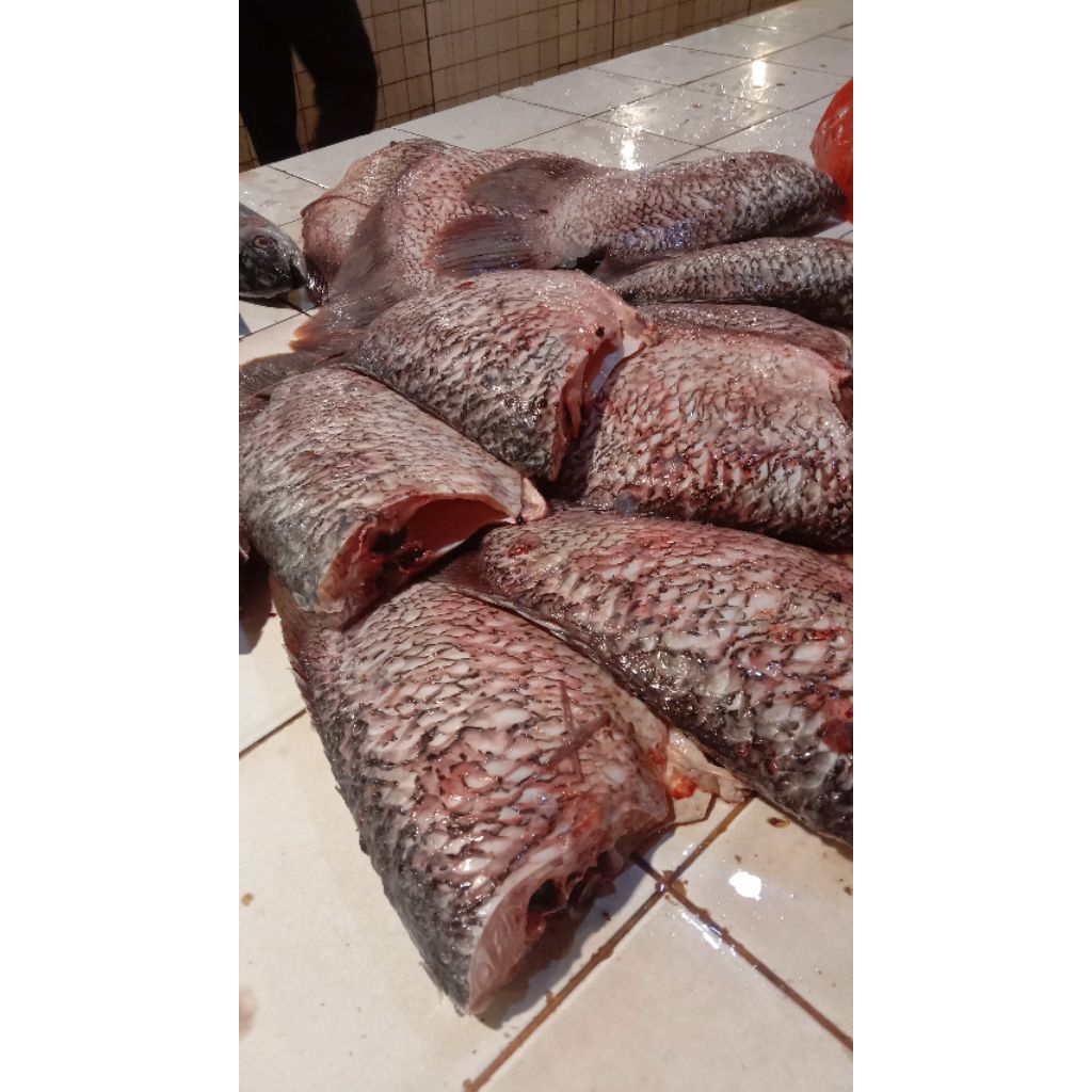 

ikan gurame fillet segar