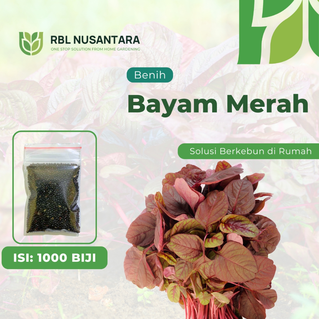 RBLN - 1000 Benih Sayuran Bayam Merah