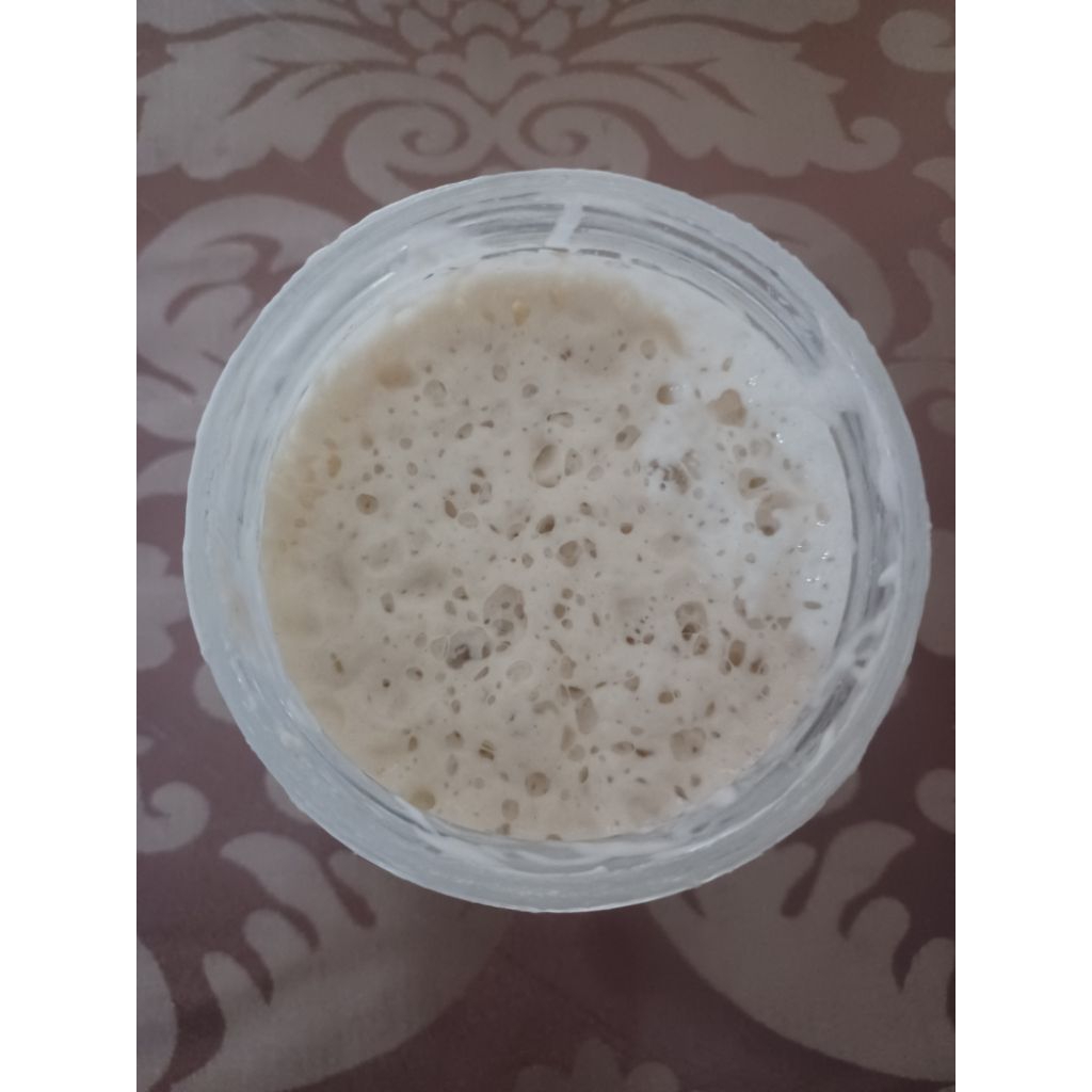 

Starter Sourdough Kering (Dried) - Ragi alami yang sehat untuk adonan Roti Sourdough dan Pizza