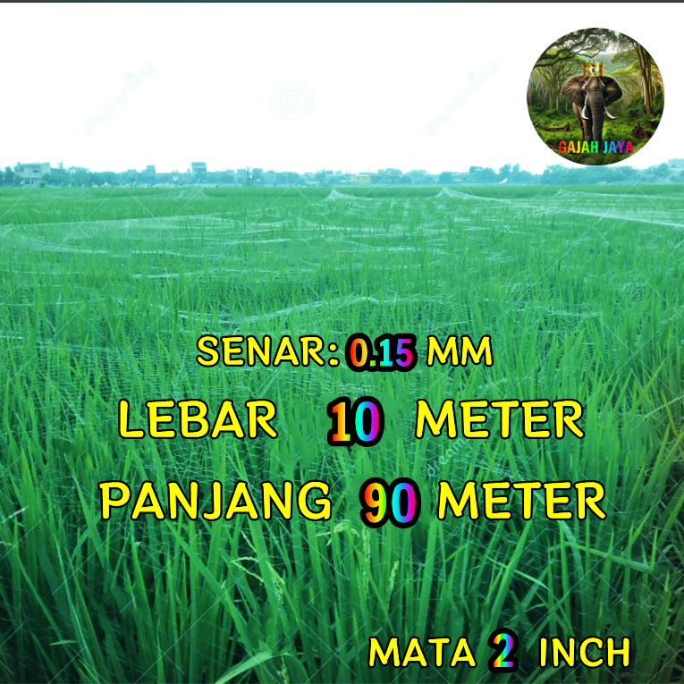Jaring Burung Jaring Sawah pengaman Padi 0.15 200 100yoko