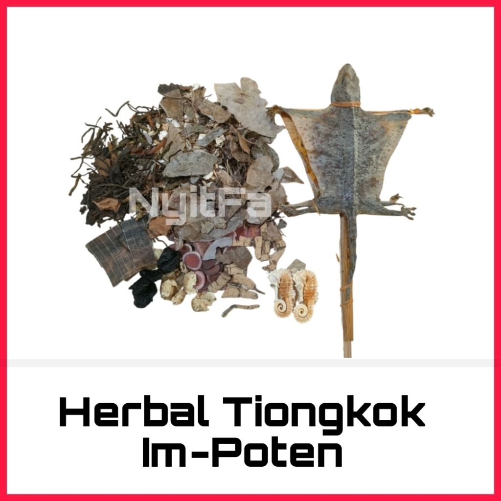 

Paket rempah 09 untuk im-poten