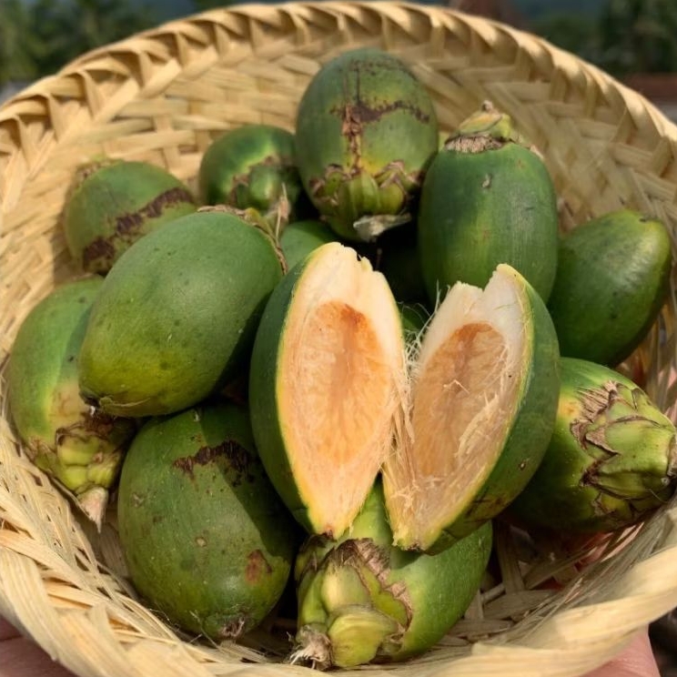 

Buah Pinang Muda 1kg isi 35± Butir Segar Tanpa Kimia yang sangat banyak manfaatnya C