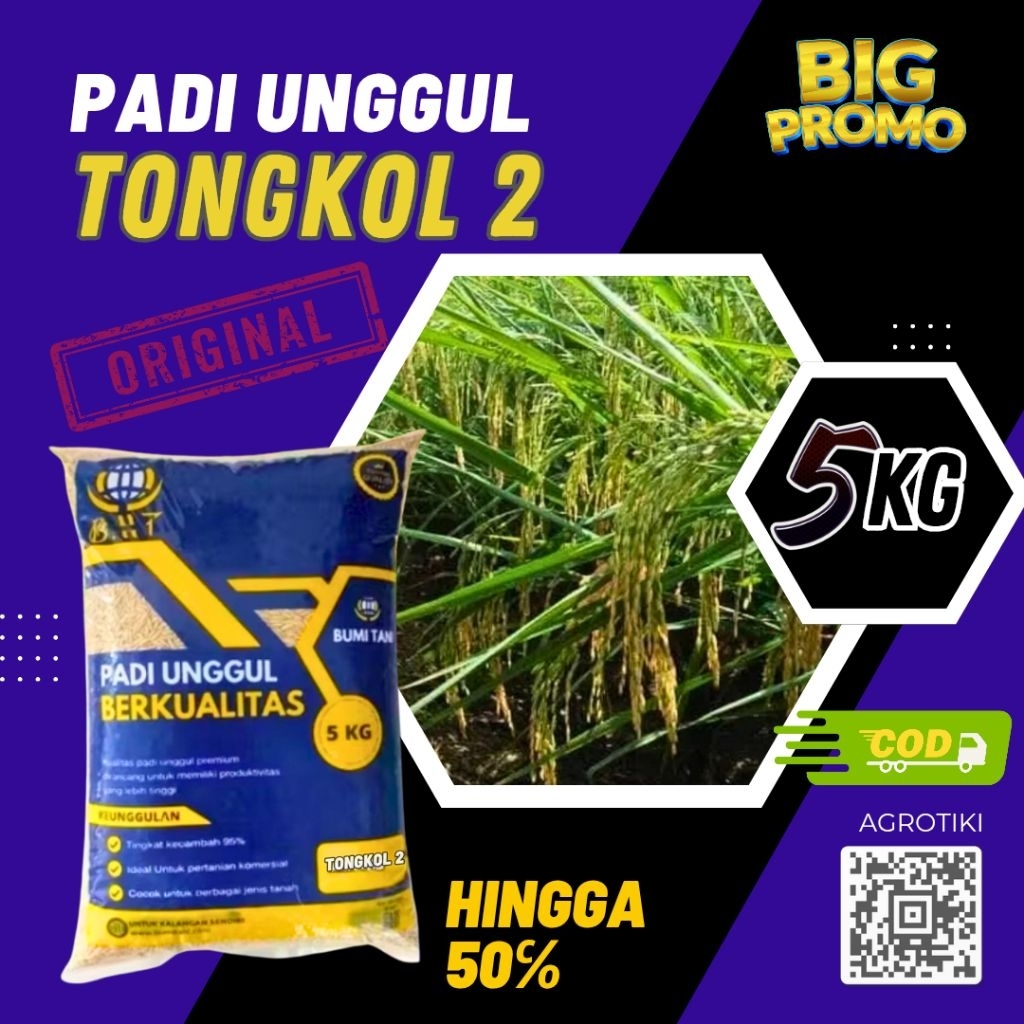 benih padi unggul tongkol 2 bibit padi unggul tongkol 2 kemasan 5kg