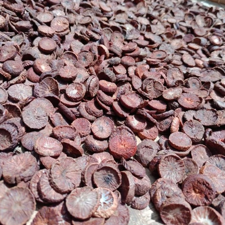 

Buah Pinang iris Muda Segar Tanpa Kimia yang sangat banyak manfaatnya