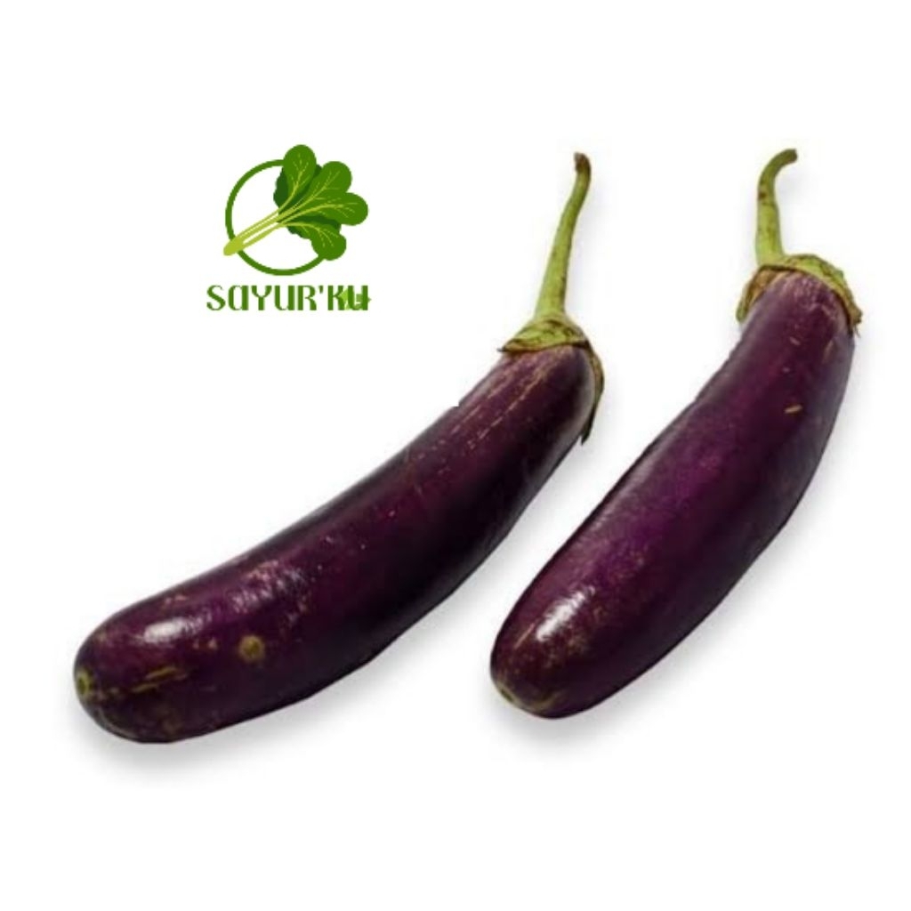 

Terong ungu segar 500gr