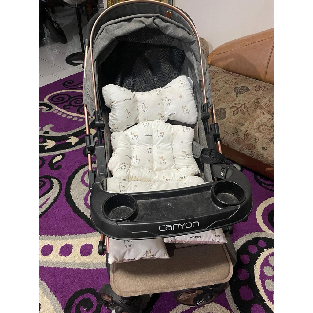 Stroller Pliko Canyon