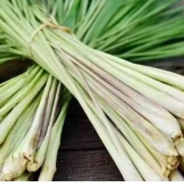 

sereh serai bumbu masakan dapur trdisional 500grm