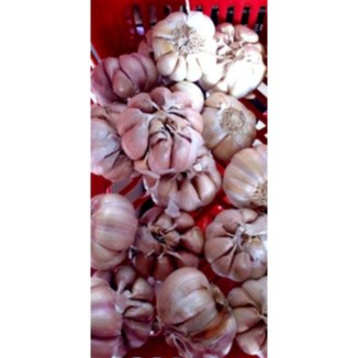 

BAWANG PUTIH 100 gram / ons