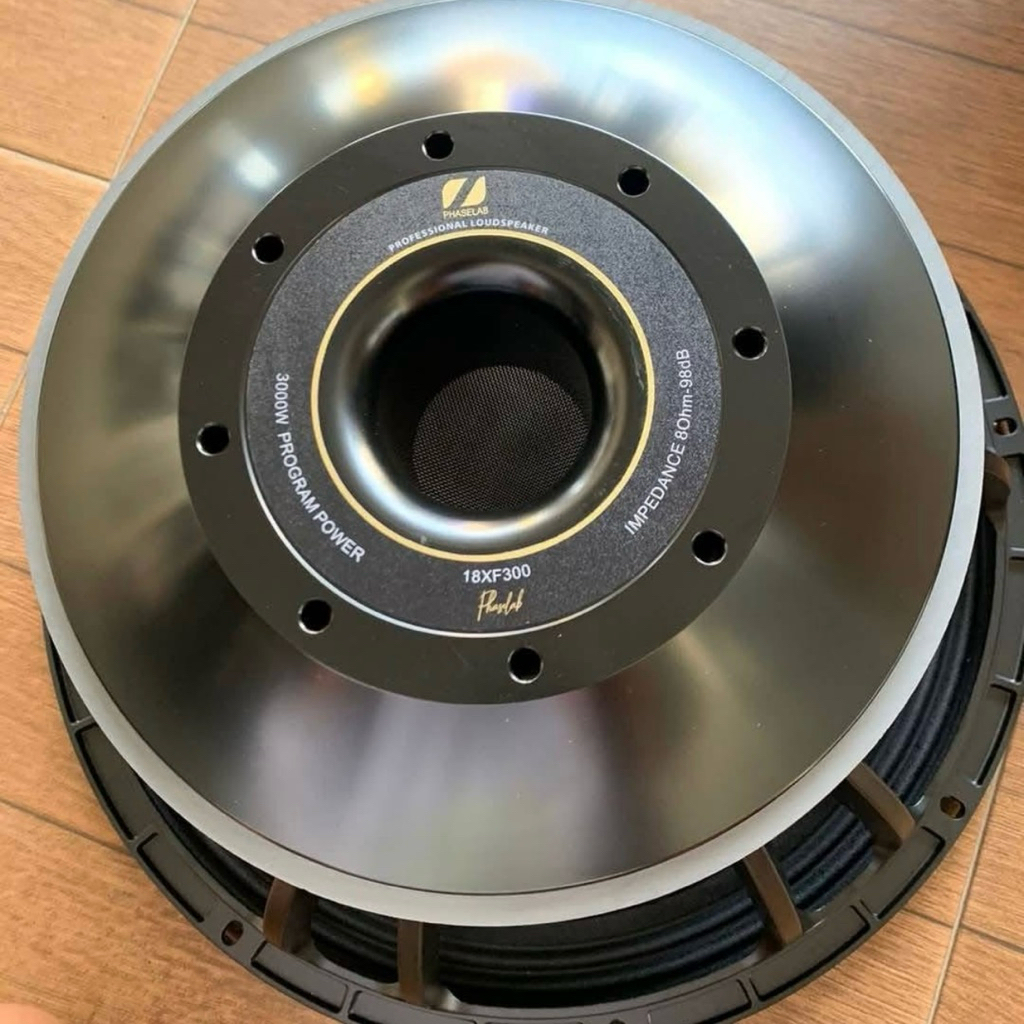 Speaker 18 Inch Phaselab 18XF3000