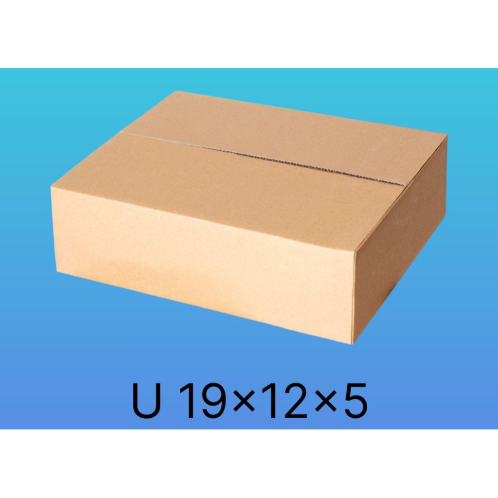 

Kardus Box Packing Polos Baru 19x12x5