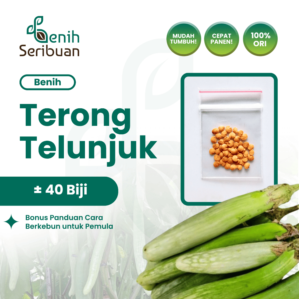 40 Bibit Terong Telunjuk Lurik Benih Sayuran Tunjuk Medan Unggul - Bibit Tanaman Sayur Seribuan