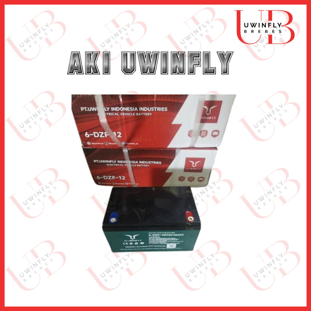 AKI SEPEDA LISTRIK UWINFLY