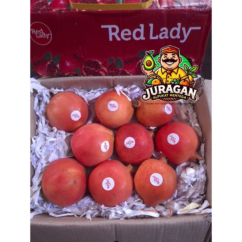 

Buah Delima Fresh Import / Buah Red Pomegranate Fresh