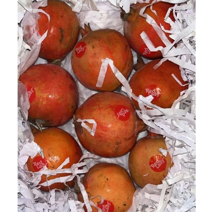 

Delima Red Lady/Buah