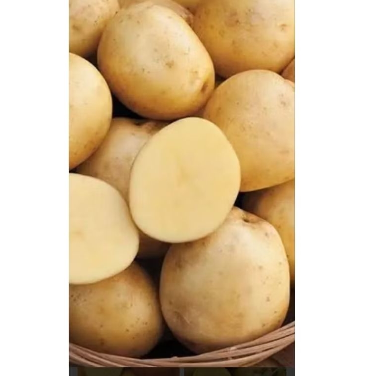 

Kirim Instan!!! Kentang 500gr, 1kg