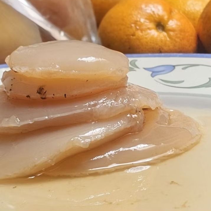

Bibit SCOBY Kombucha Premium Plus Starter Diameter 7 cm