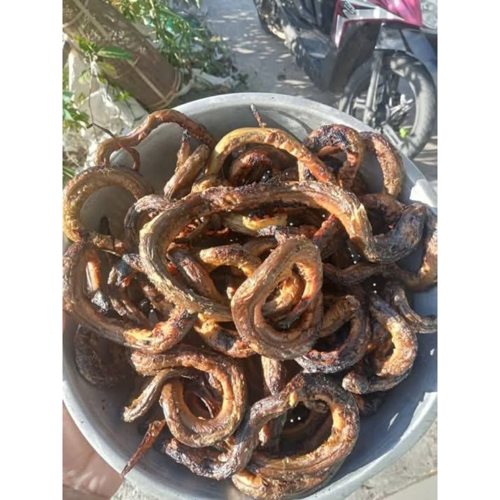 

Belut Bakar