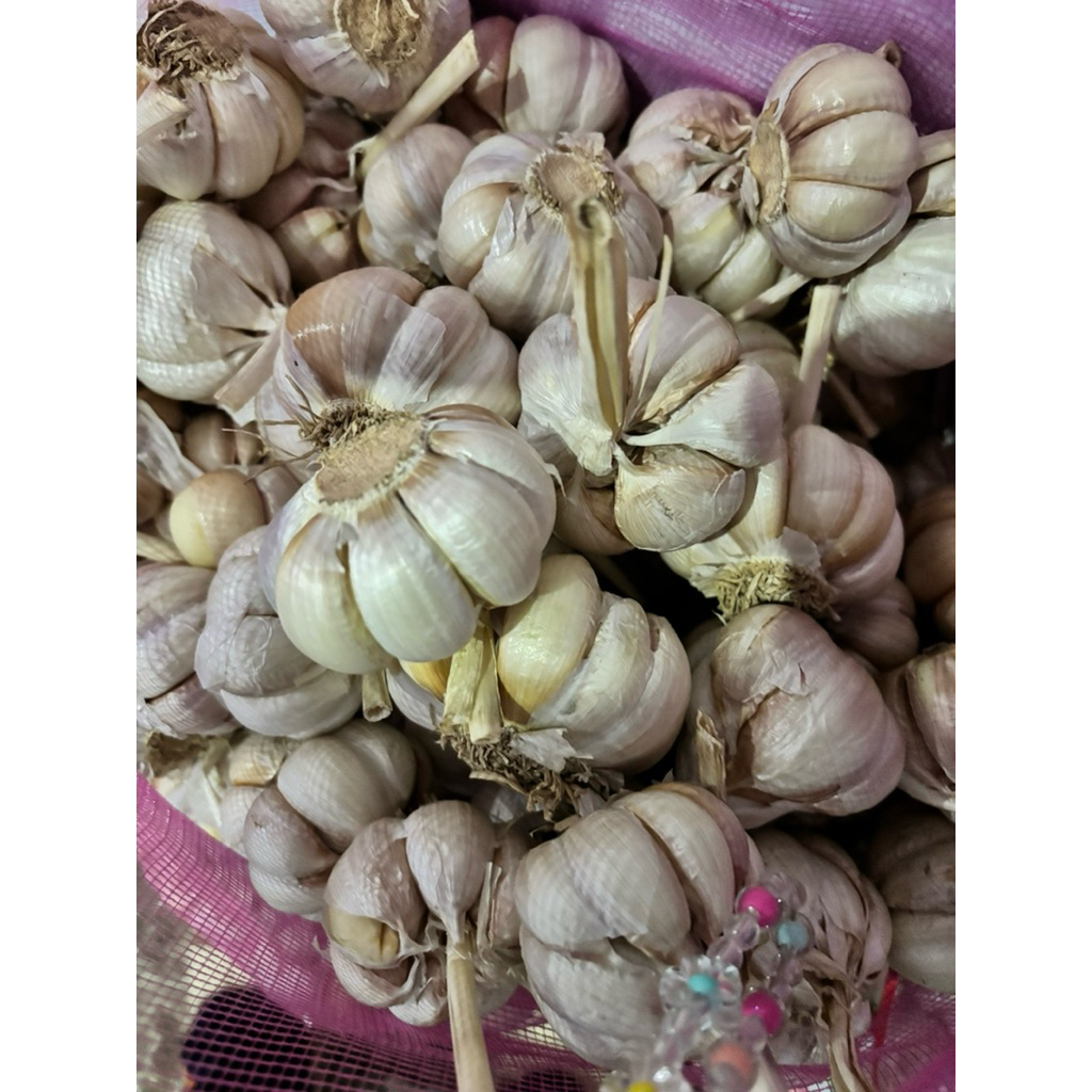 

Bawang Putih Kating Import Premium – Siap Masak / Ready Stock