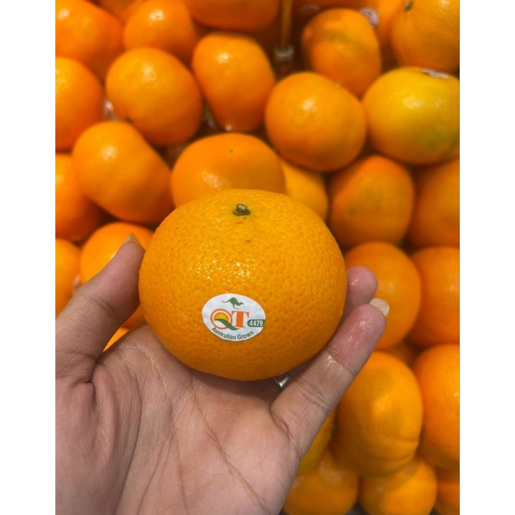 

Jeruk Royal Hony Murcot Australia 1 Kg