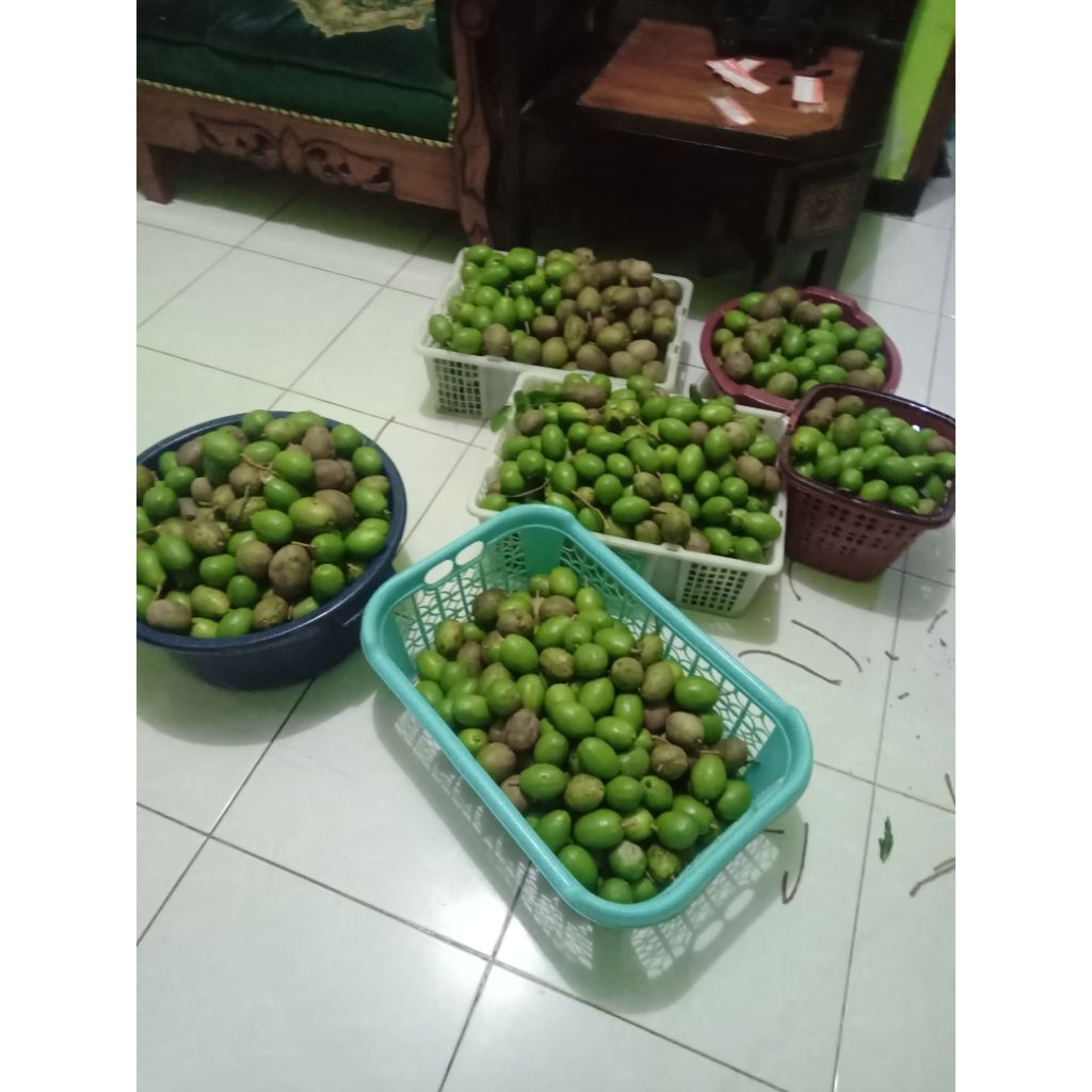 

buah kedondong rujak 1 kg