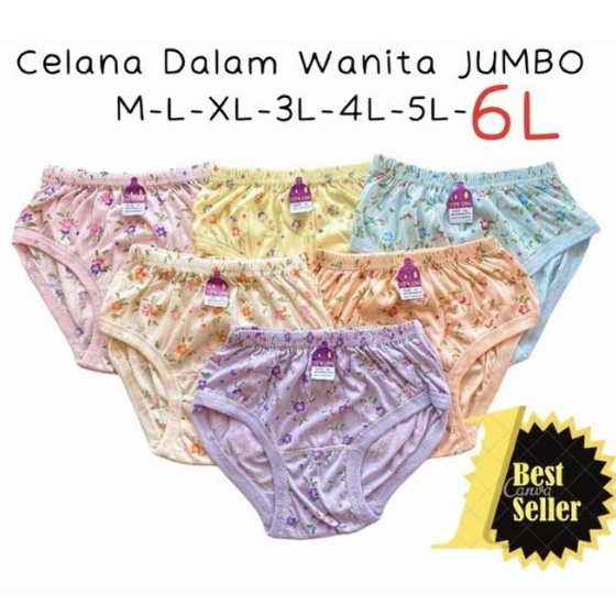 Celana dalam wanita jumbo lusinan murah grosir sexy Celana dalam wanita katun 1 lusin premium