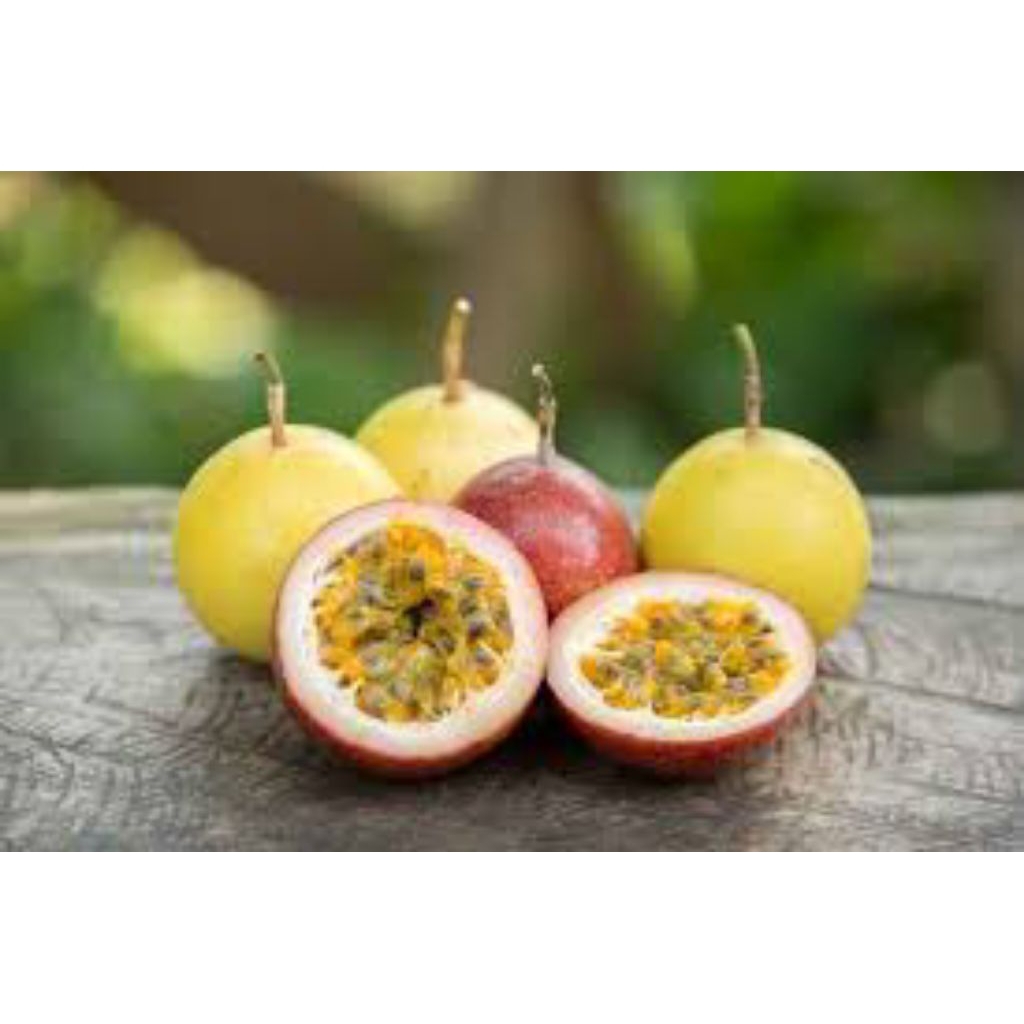 

buah markisa segar pres 1kg