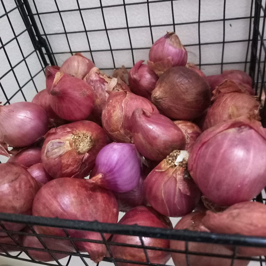 

Bawang Merah Brebes 250 gr