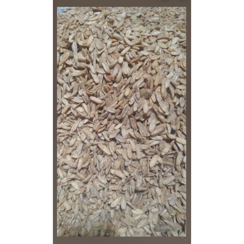 

Camilan keripik kripik CANGUK KACANG BENGUK ASLI Enak, Gurih, Renyah dan Murah‼️