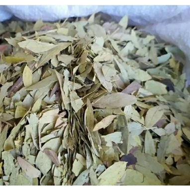 

Daun Jati China 1000gr Kwalitas Super / Daun Jati China Pelangsing 1Kg