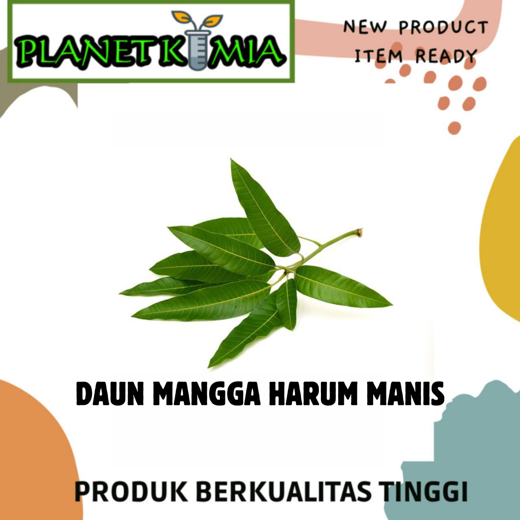 

Daun Mangga Organik Per 10 Lembar Best Quality