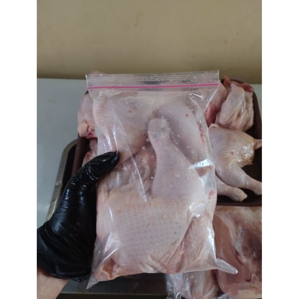 

Ayam Lalapan paha dan dada 900-1000 gram