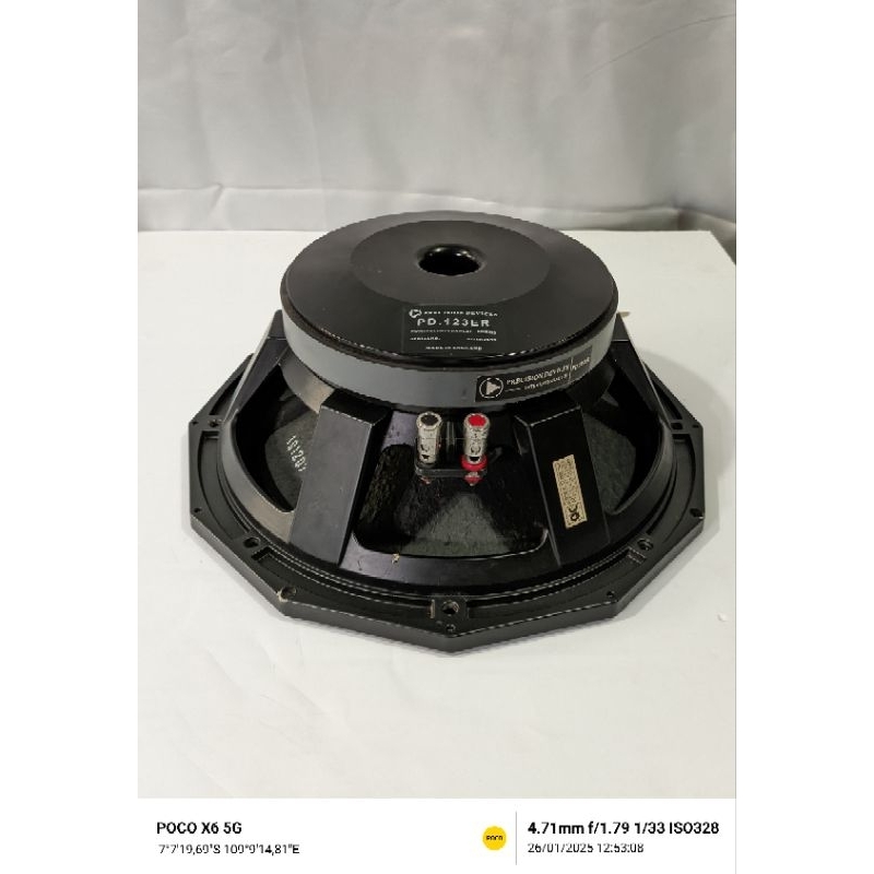 speaker 12 inch PD 123 ER