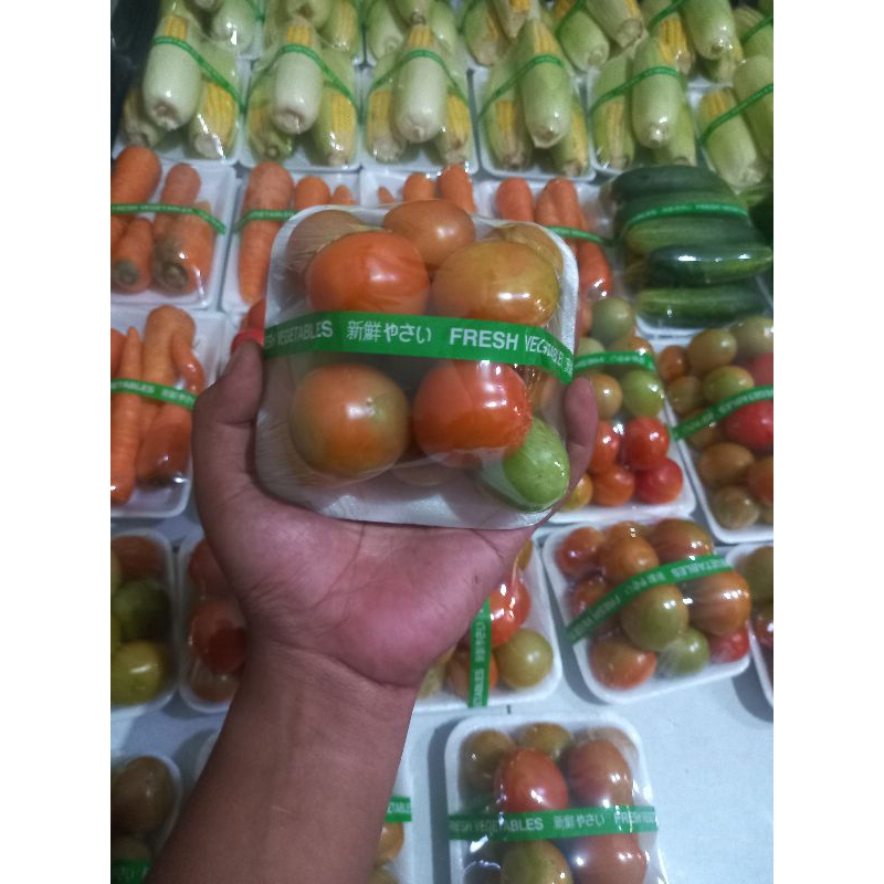 

Tomat sayur