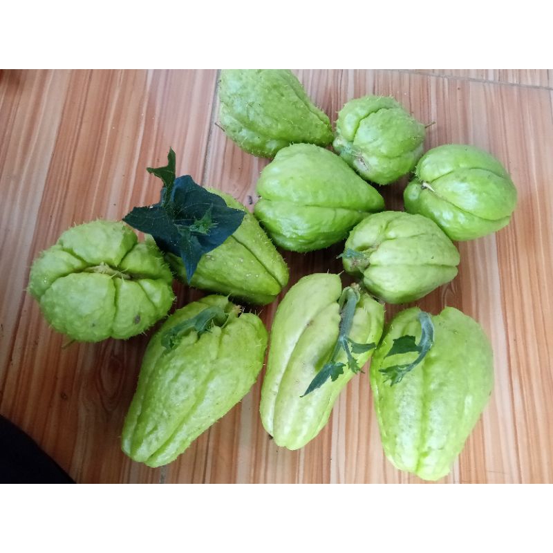 

Benih Labu Siam super