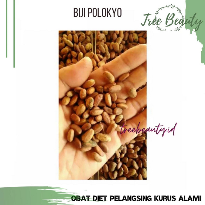 ❤️nr.thelabell❤️SUPLIER BIJI POLOKYO PELANGSING / OBAT DIET MURAH TENAN