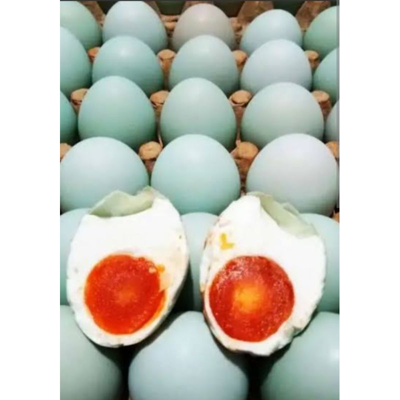 

Telur Asin Fresh bebek
