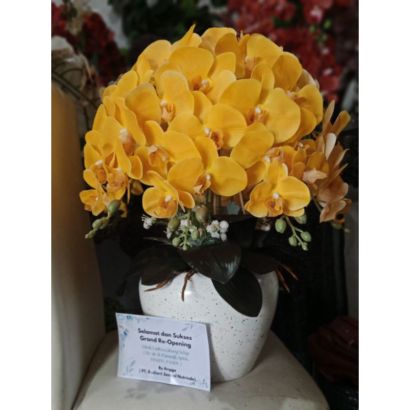 Anggrek latex premium