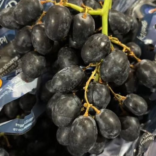 

PROMO Anggur Black Autum Ausie / FRESH MANIS