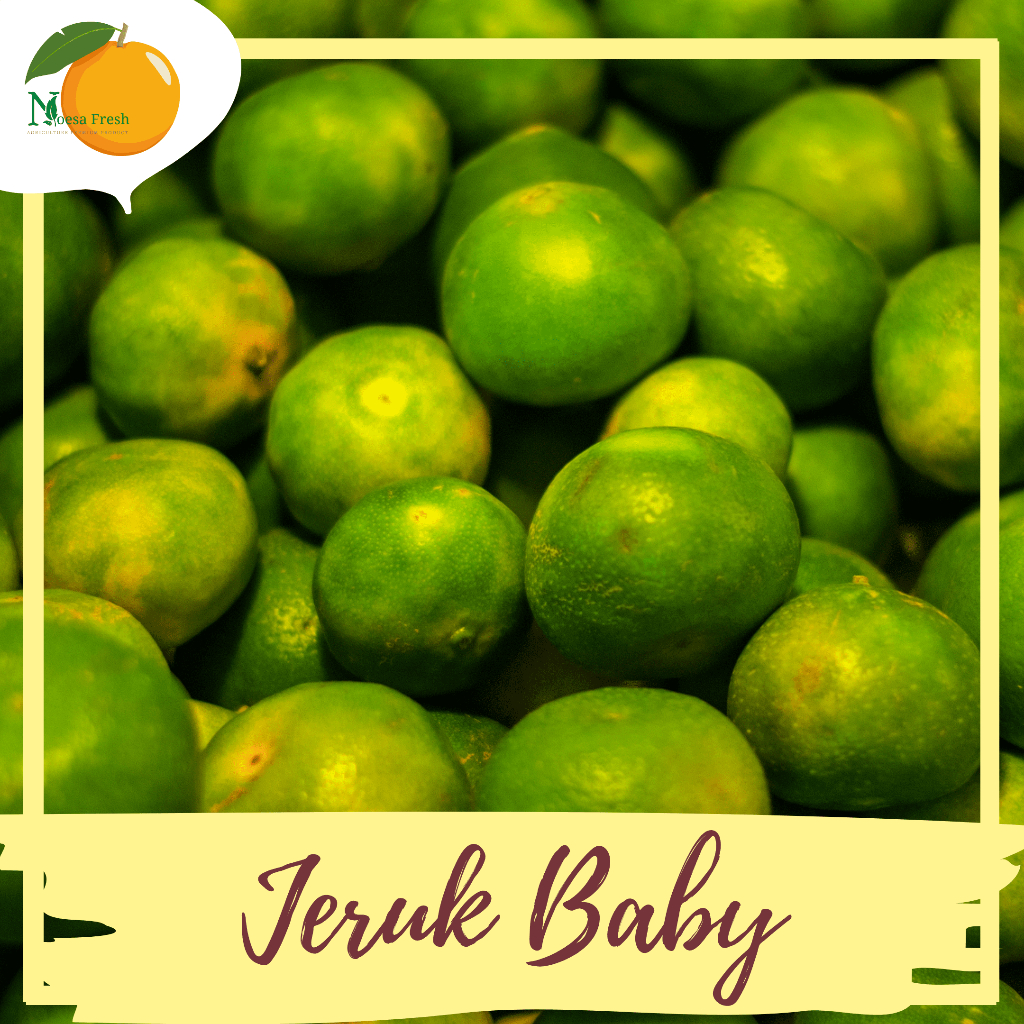 

Grosir Jeruk Baby Java Fresh 10kg, 5kg, dan 3kg BERGARANSI!