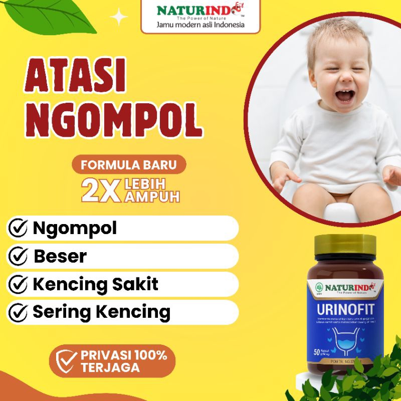 Obat Ngompol Beser Sering Kencing Sakit Herbal Ampuh Urinofit Naturindo