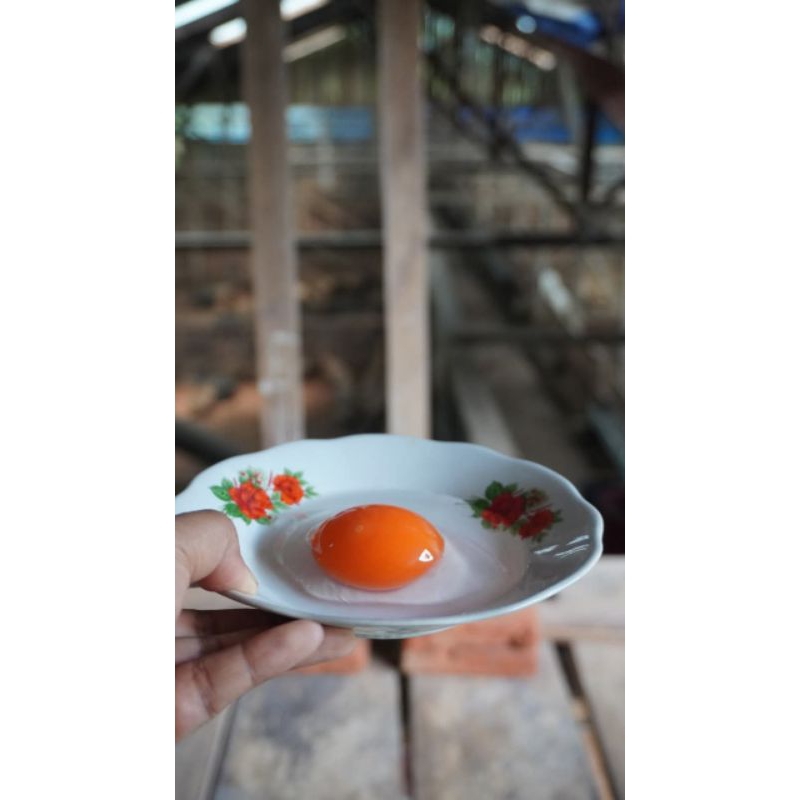 

Telur Itik Isi 10 Butir