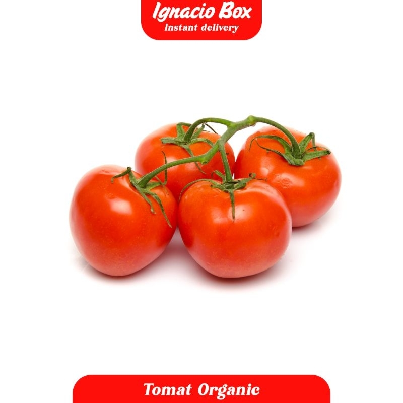 

PROMO Tomat Merah Segar [ 250Gr] Organik IgnacioBox