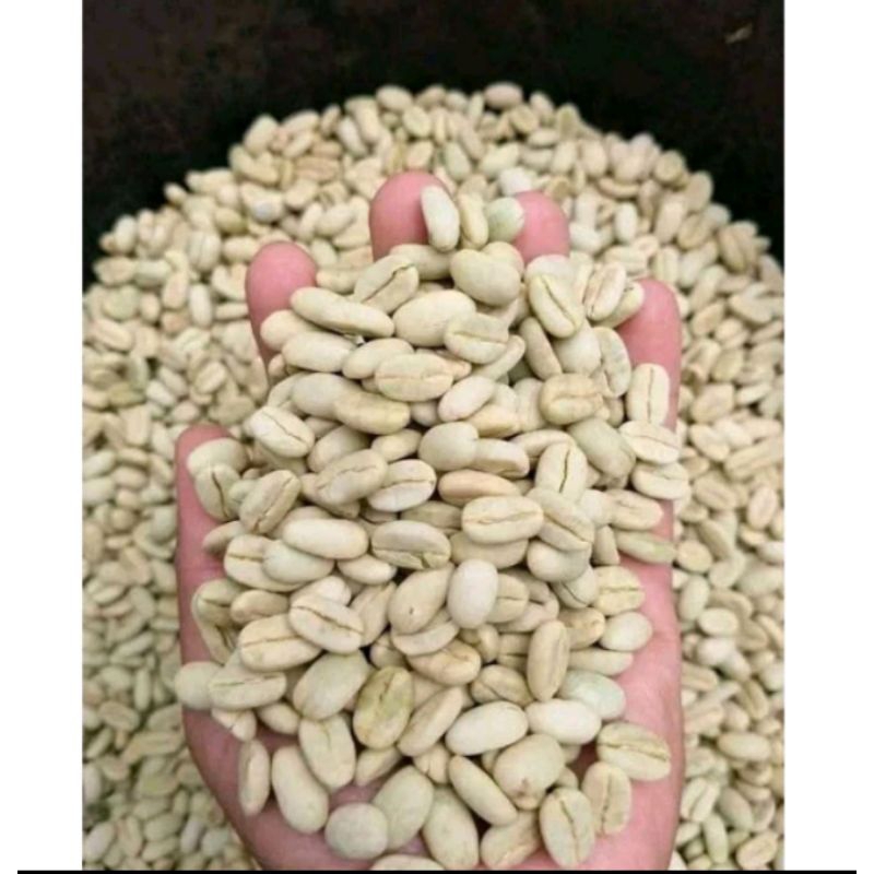 

Biji Kopi Arabika Ateng 100 Biji Sed , Kopi pilihan #Koffe #Pilihan