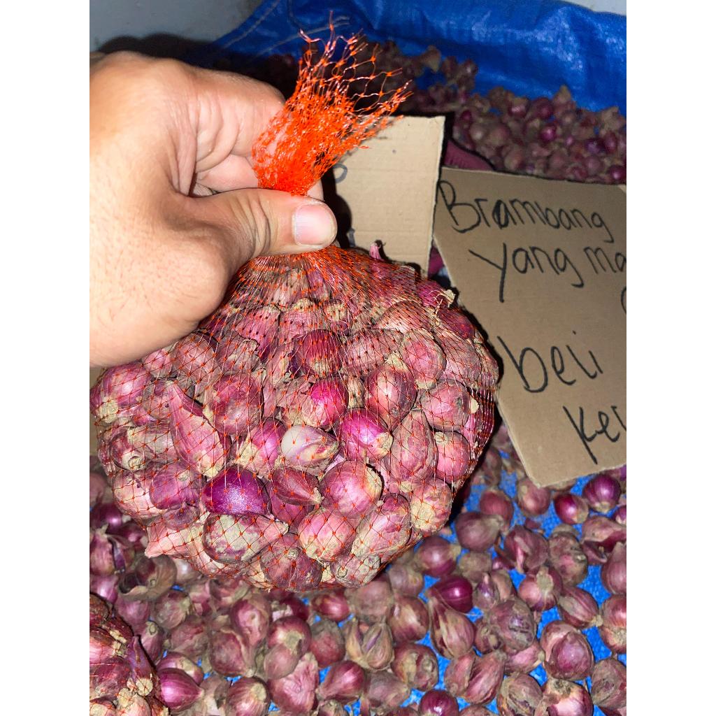 

bawang merah / brambang