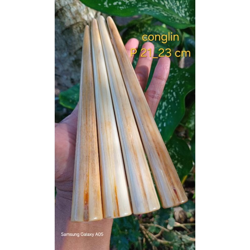 sedotan once cucuk ikan marlin