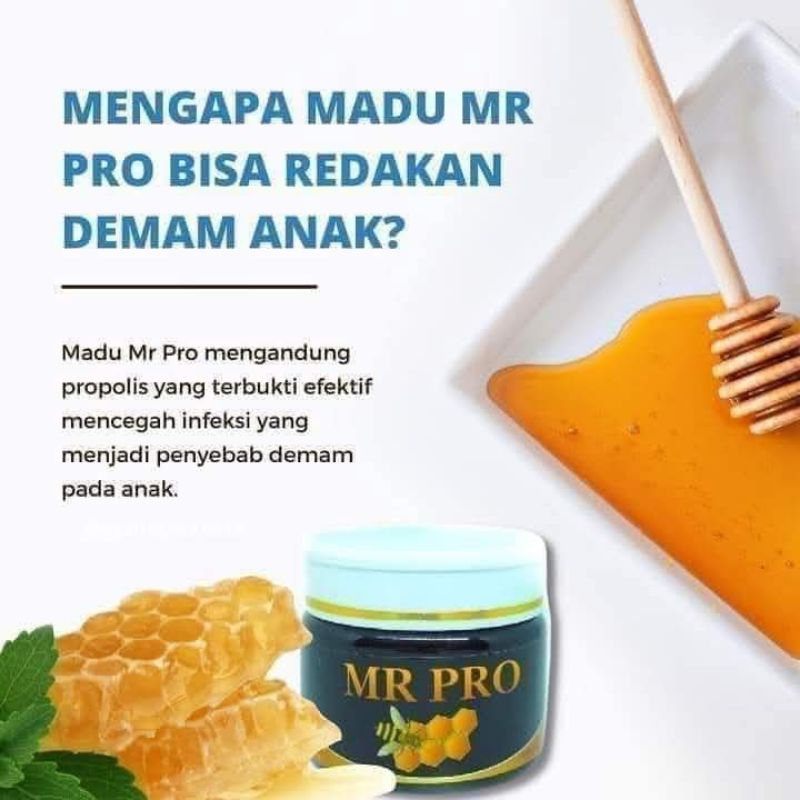 

MR PRO ORIGINAL MADU PENAMBAH NAFSU MAKANf
