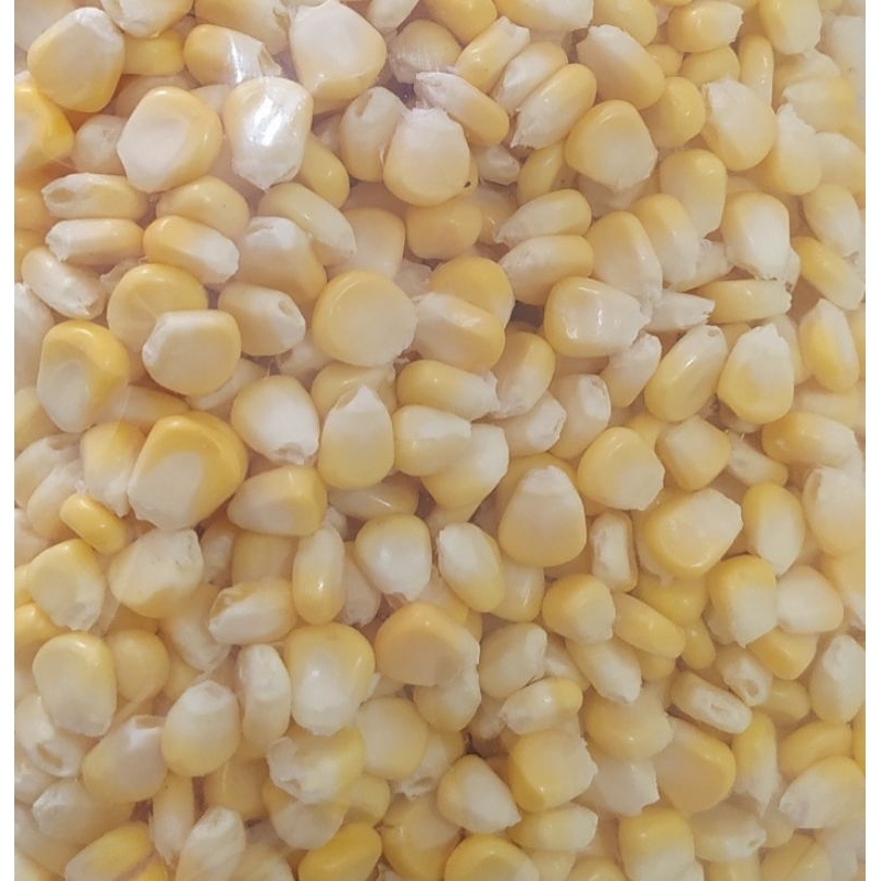 

Jagung Manis/Jagung Pipil/Jagung 1 kg