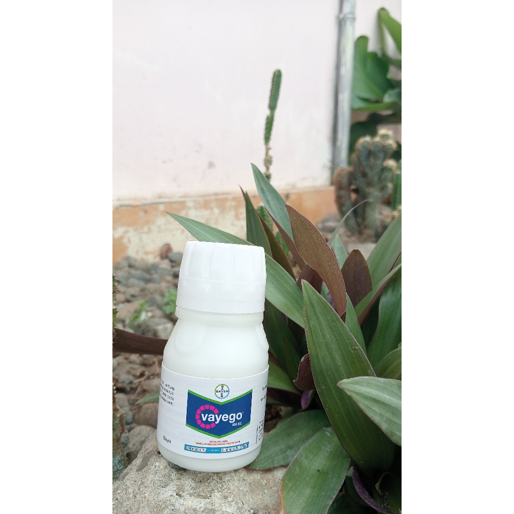 VAYEGO 50ml, INSEKTISIDA