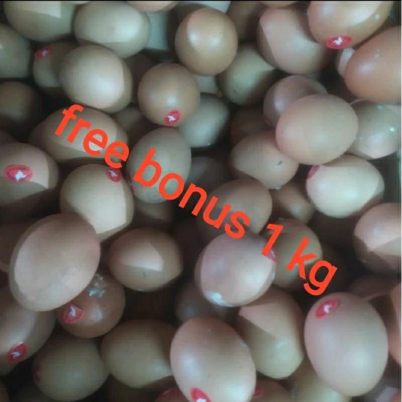 

telur omega 500gr + gratis bonus