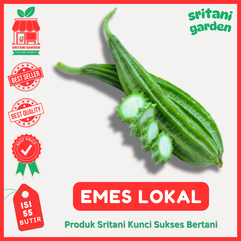 Benih Emes Gambas Lokal 55 Biji Bibit Sayur Kualitas Unggul - Sritani Garden